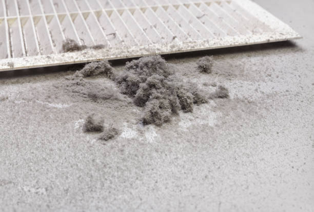 Best Best Air Duct Cleaning Company  in Clear Lake, WI